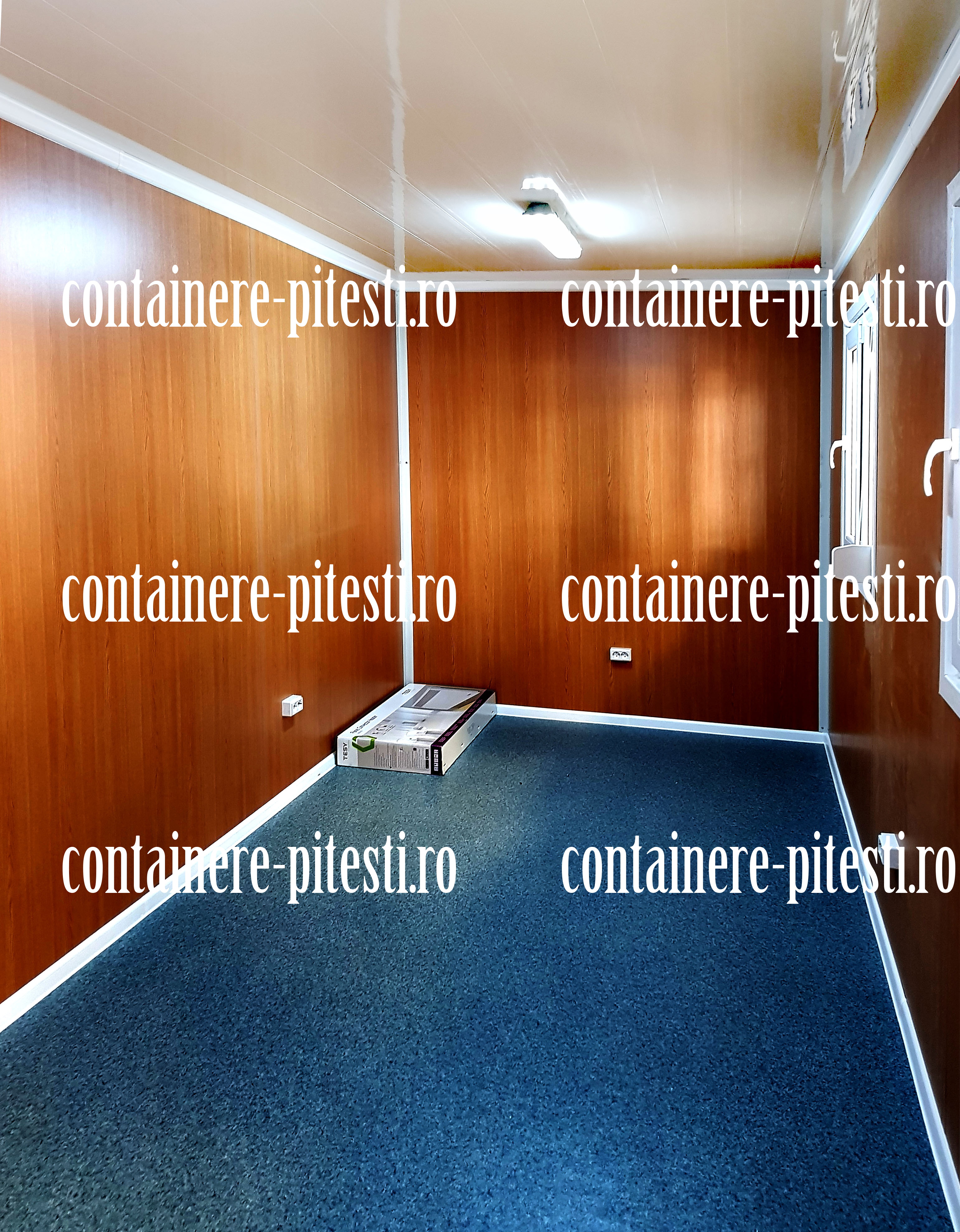 cat costa un container Pitesti